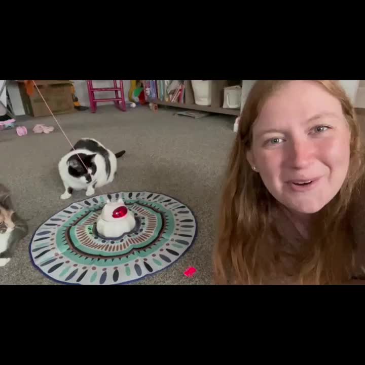 Cat Toy Automatic, 4-in-1 Toys