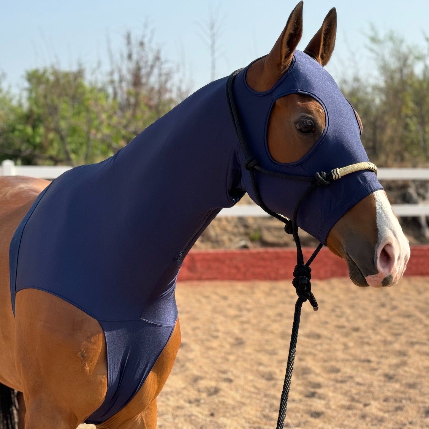 Premium Nylon Lycra Horse Head Cover Anti Wear Stretch Fit for Large Breeds Essential Equestrian Gear