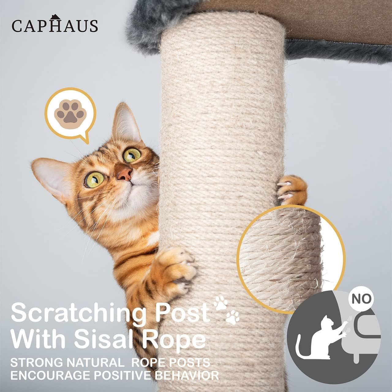 Caphaus Tall Cat Tree for Indoor Cats Modern Cute 70 Inch Climbing Play Tower with Top Perch for Large Kittens Multi Level Cat Activity Tree with Scratching Posts Hammock Cat Cave Condo