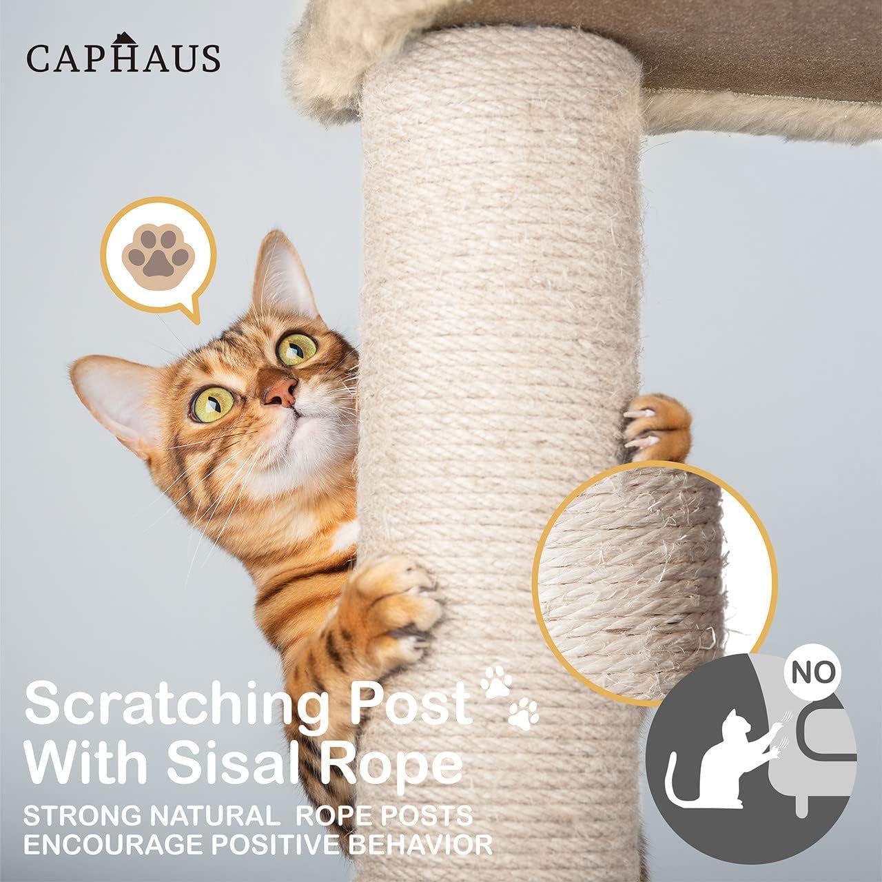 Caphaus Tall Cat Tree for Indoor Cats Modern Cute 70 Inch Climbing Play Tower with Top Perch for Large Kittens Multi Level Cat Activity Tree with Scratching Posts Hammock Cat Cave Condo