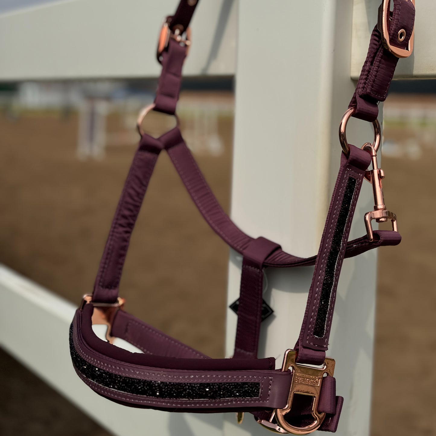 Horse Headcollar Doublepin Mattgloss Jewel Classic Sports 2025 Horse Halter Without Battery