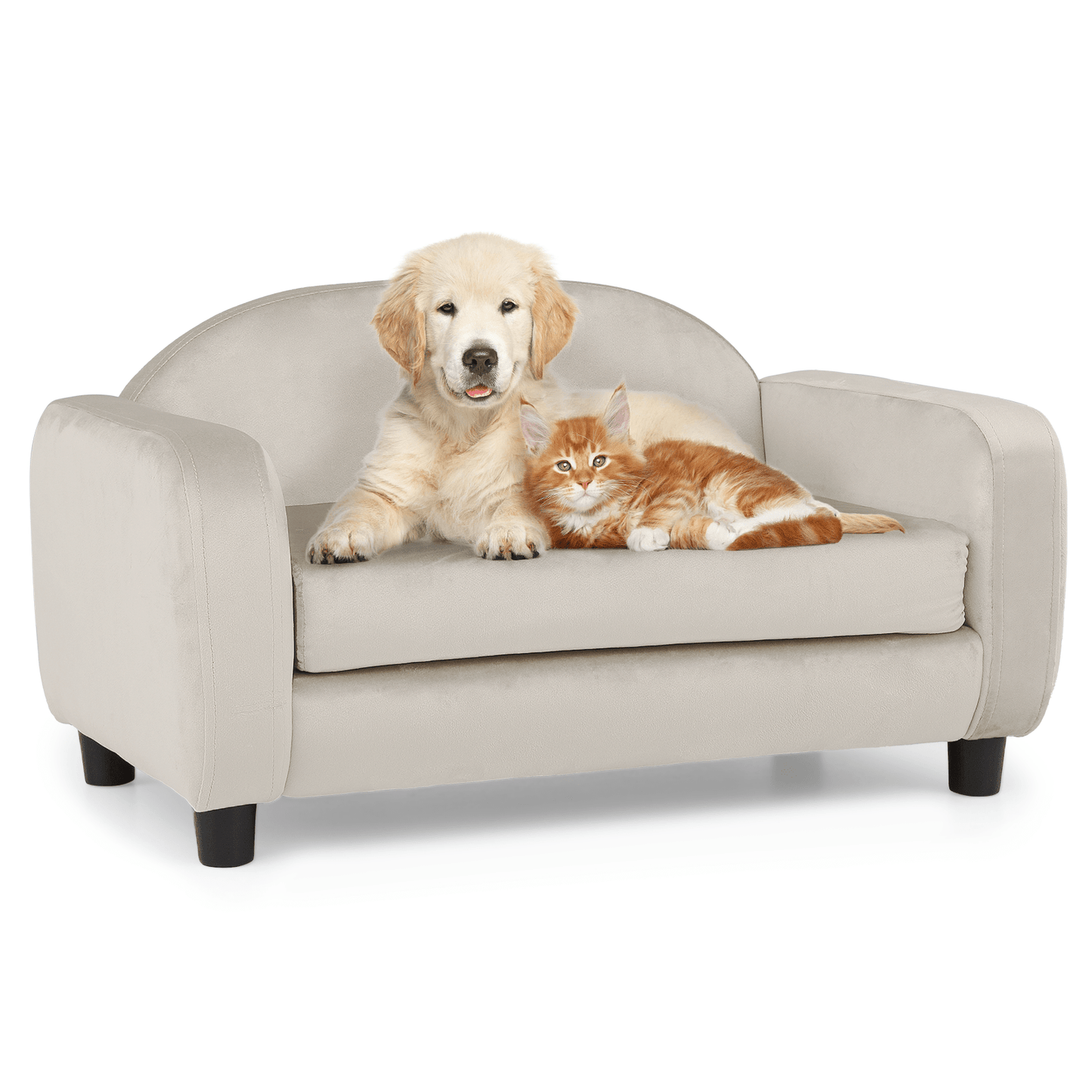 MoNiBloom Pet Sofa Dog Couch for Small Dogs and Cats