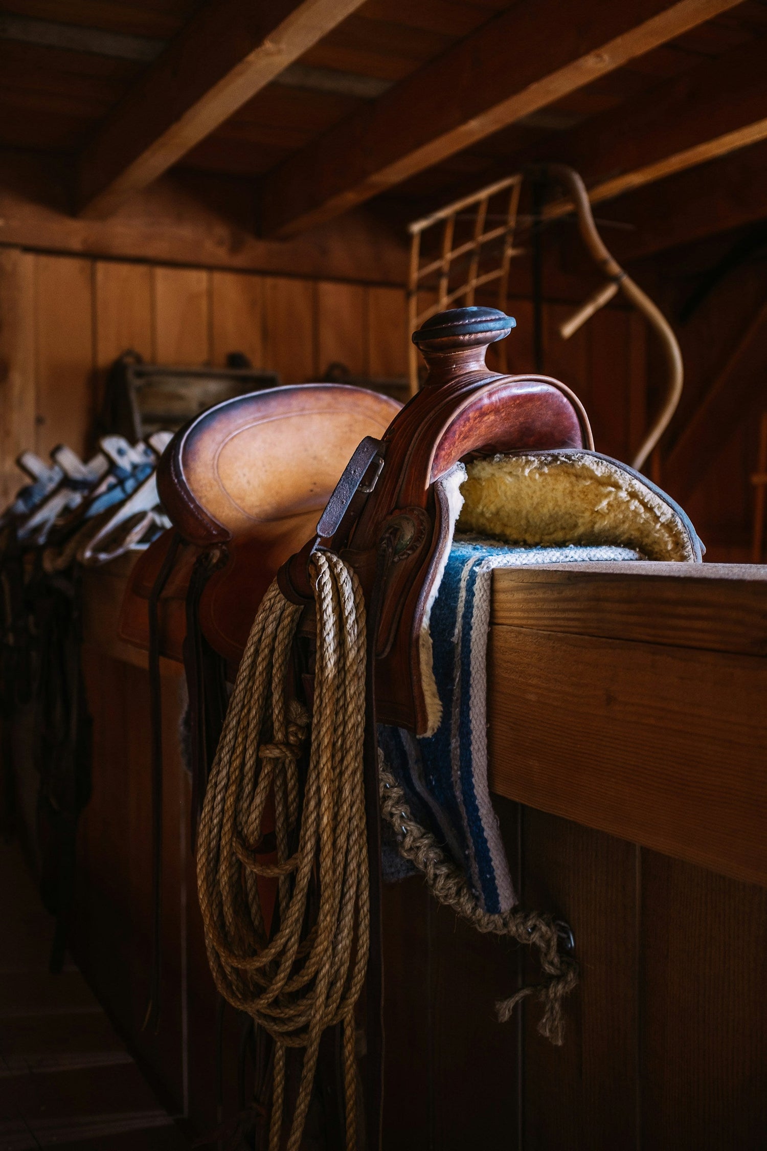 Livestock Accessories