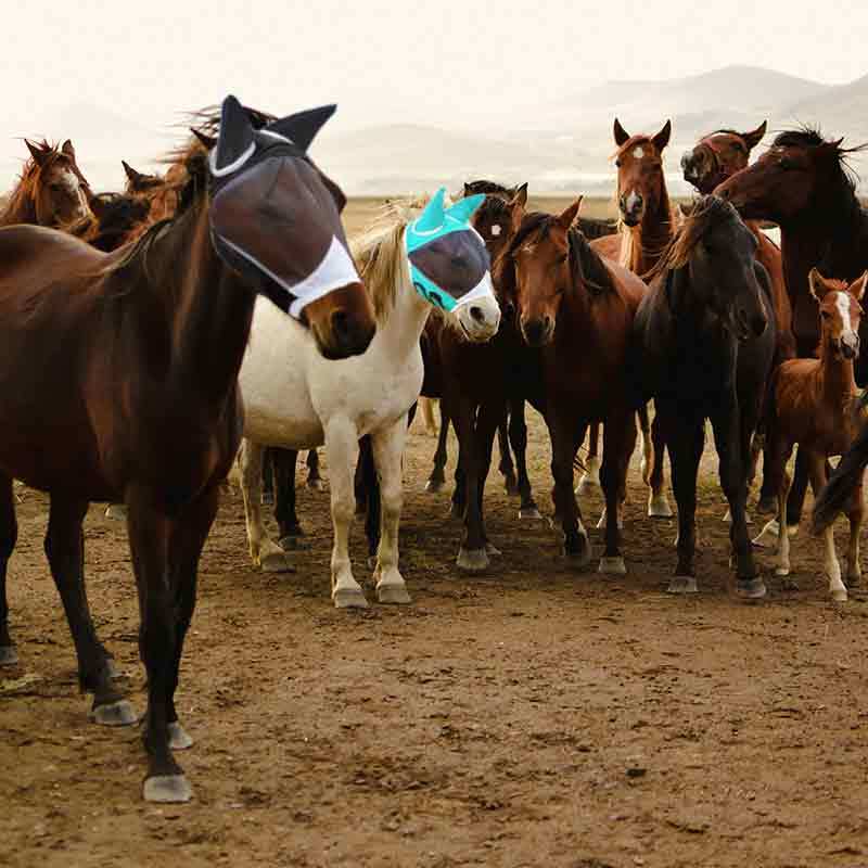 Comfortable Horse Fly Mask with Ears, Durable Spandex