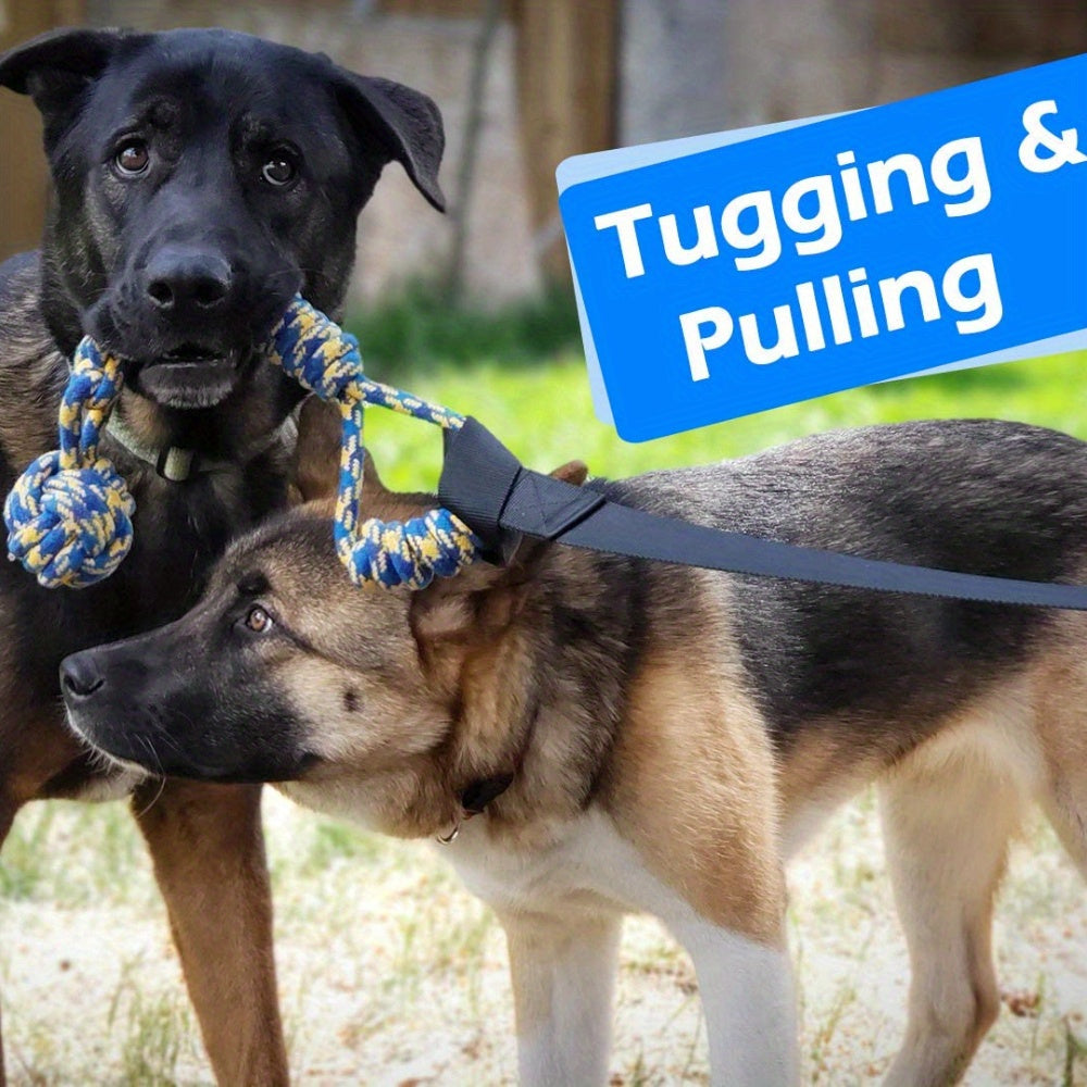 Loobani Outdoor Bungee Tug Toy for Dogs All Breeds Interactive Exercise Play Cord and Tether with Chew Rope