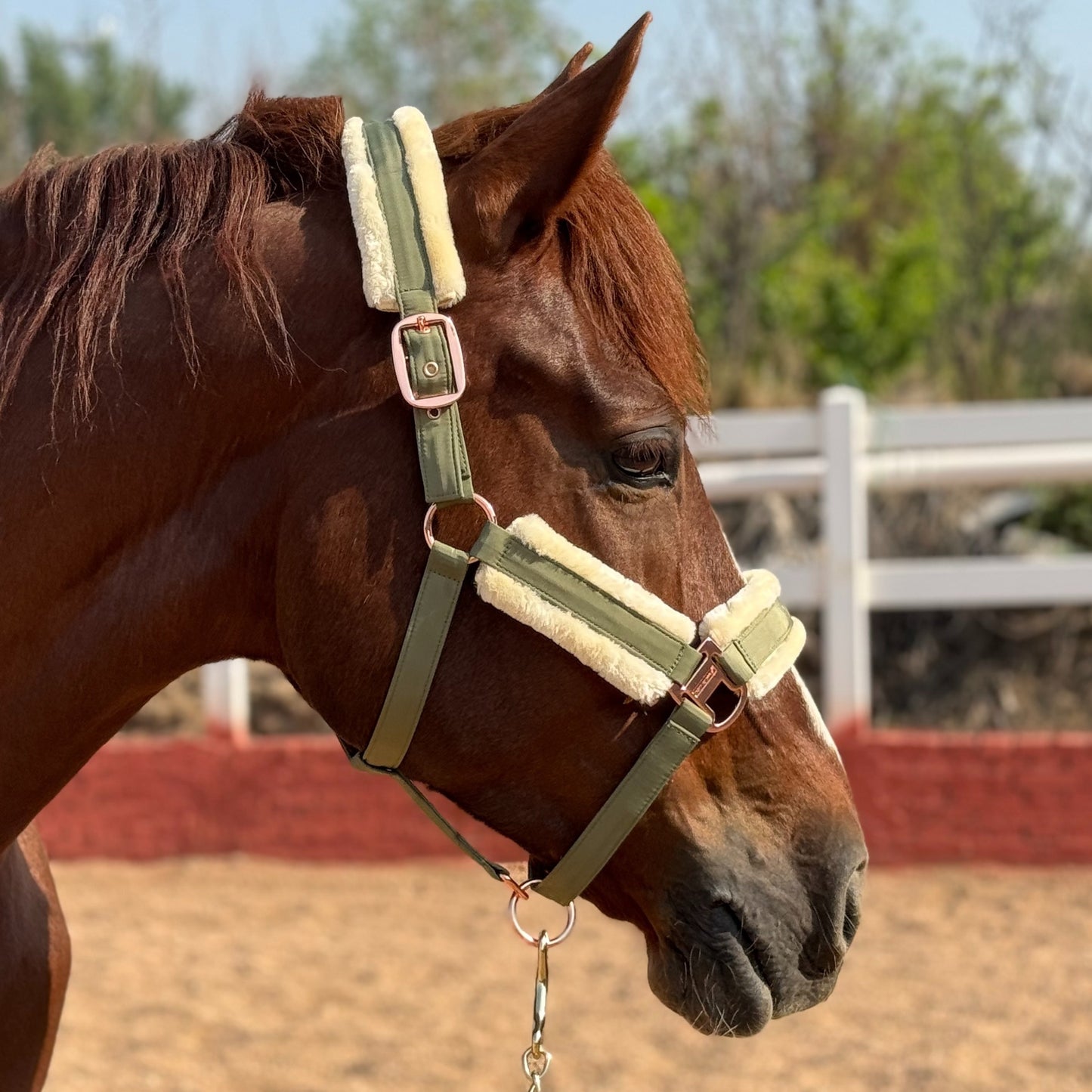 Luxurious Detachable Faux Fur Horse Halter with Glossy Buckle