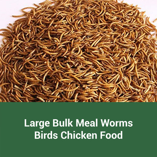 Dried Mealworms Larvae For Chickens Natural High Protein Pet Food Dried Meal Worms For Wild Birds Hens Ducks Turtles Fish Lizards Hamsters Dried Insect Animal Feed