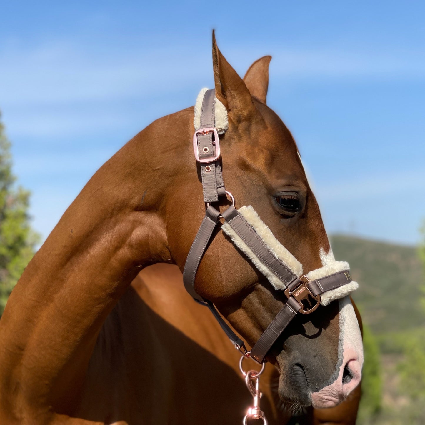 Luxurious Detachable Faux Fur Horse Halter with Glossy Buckle
