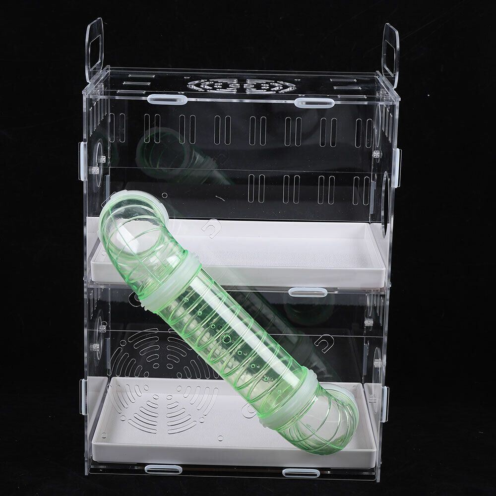2 Layer Acrylic Transparent Hamster Cage Acrylic Hamster Breeding Cage Hamster Luxury Palace Rat Cage Mouse Habitat Pet Game House