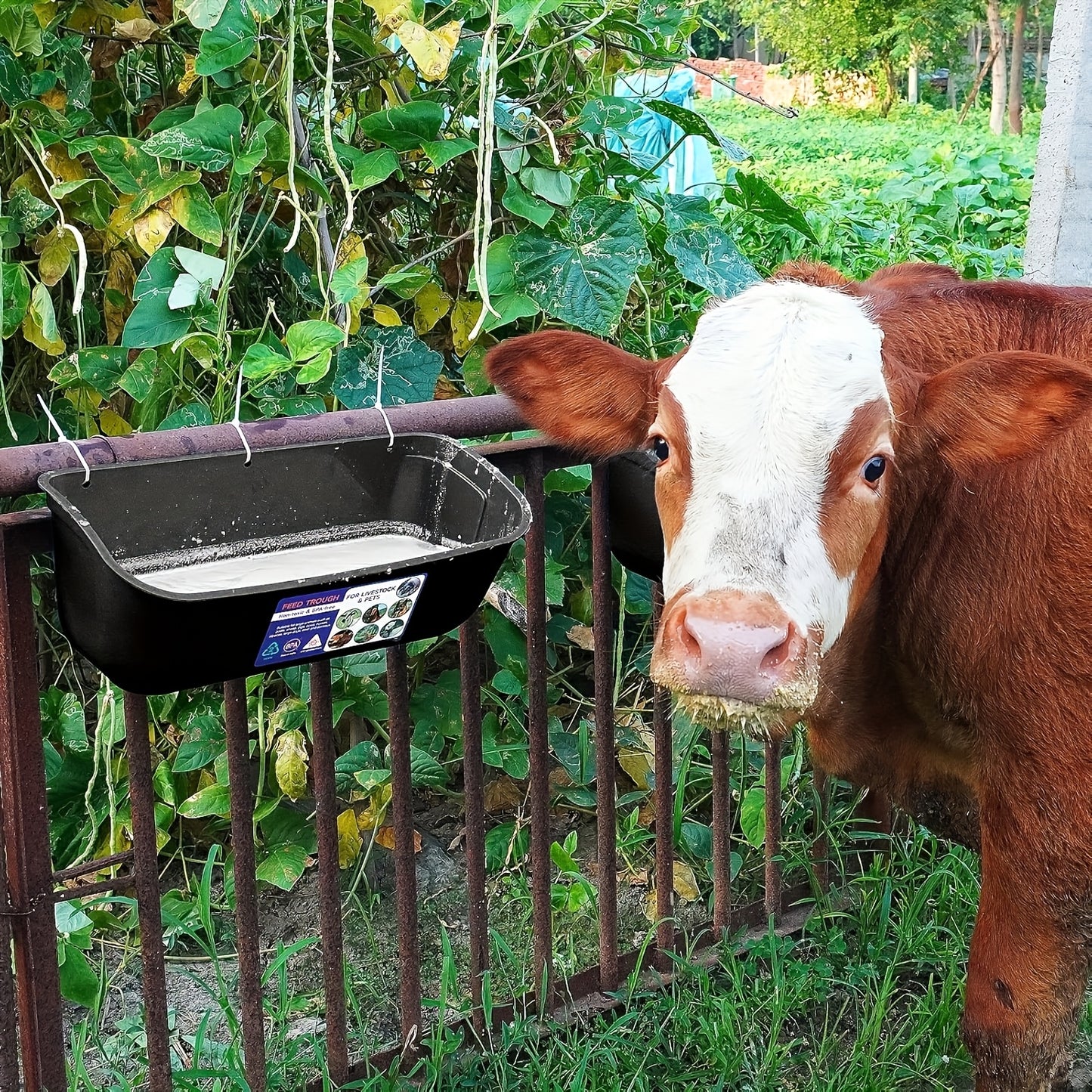 Extra Large Goat Feeder with Clip Hanging Chicken Feeder Livestock and Poultry Feeding Trough Bucket for Goats Sheep Ducks Geese Piglets Horses Deer 12.91 Inch by 7.1 Inch by 7.1 Inch