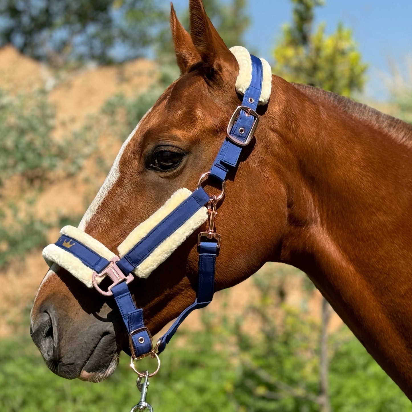 Luxurious Detachable Faux Fur Horse Halter with Glossy Buckle