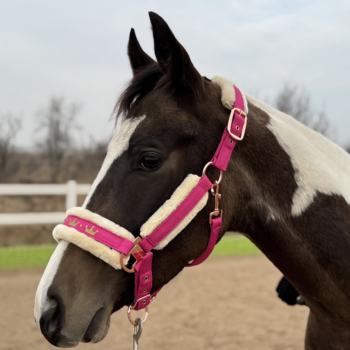 Luxurious Detachable Faux Fur Horse Halter with Glossy Buckle