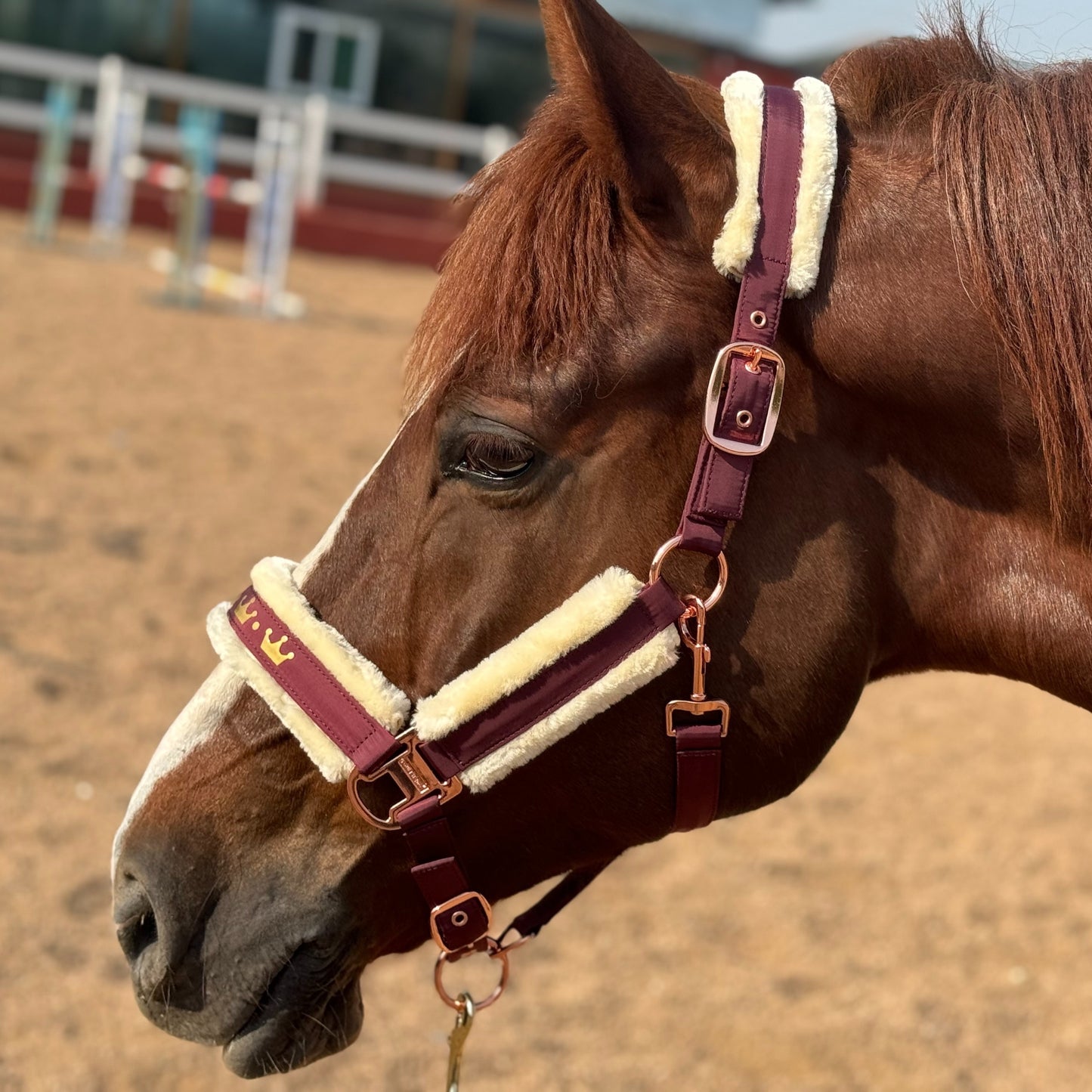 Luxurious Detachable Faux Fur Horse Halter with Glossy Buckle