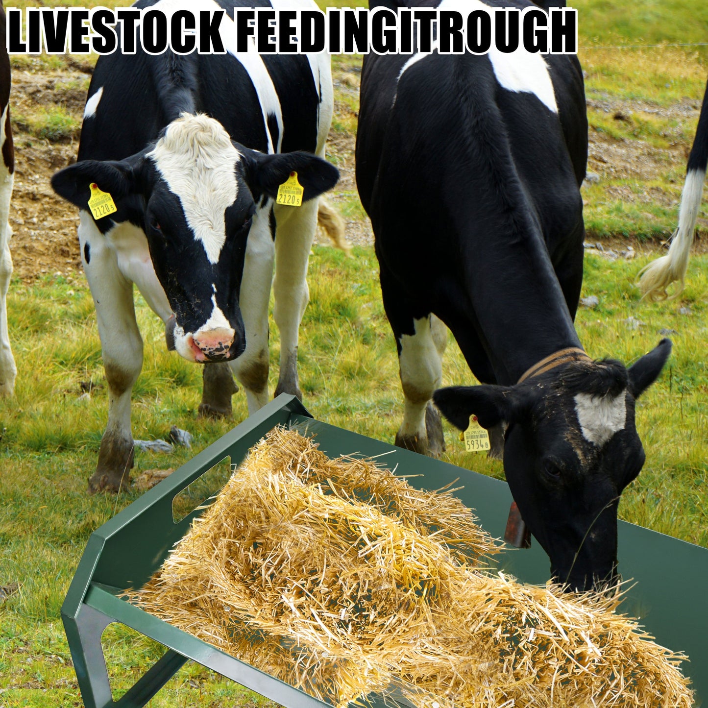 45" Heavy-Duty Galvanized Steel Livestock Feeder
