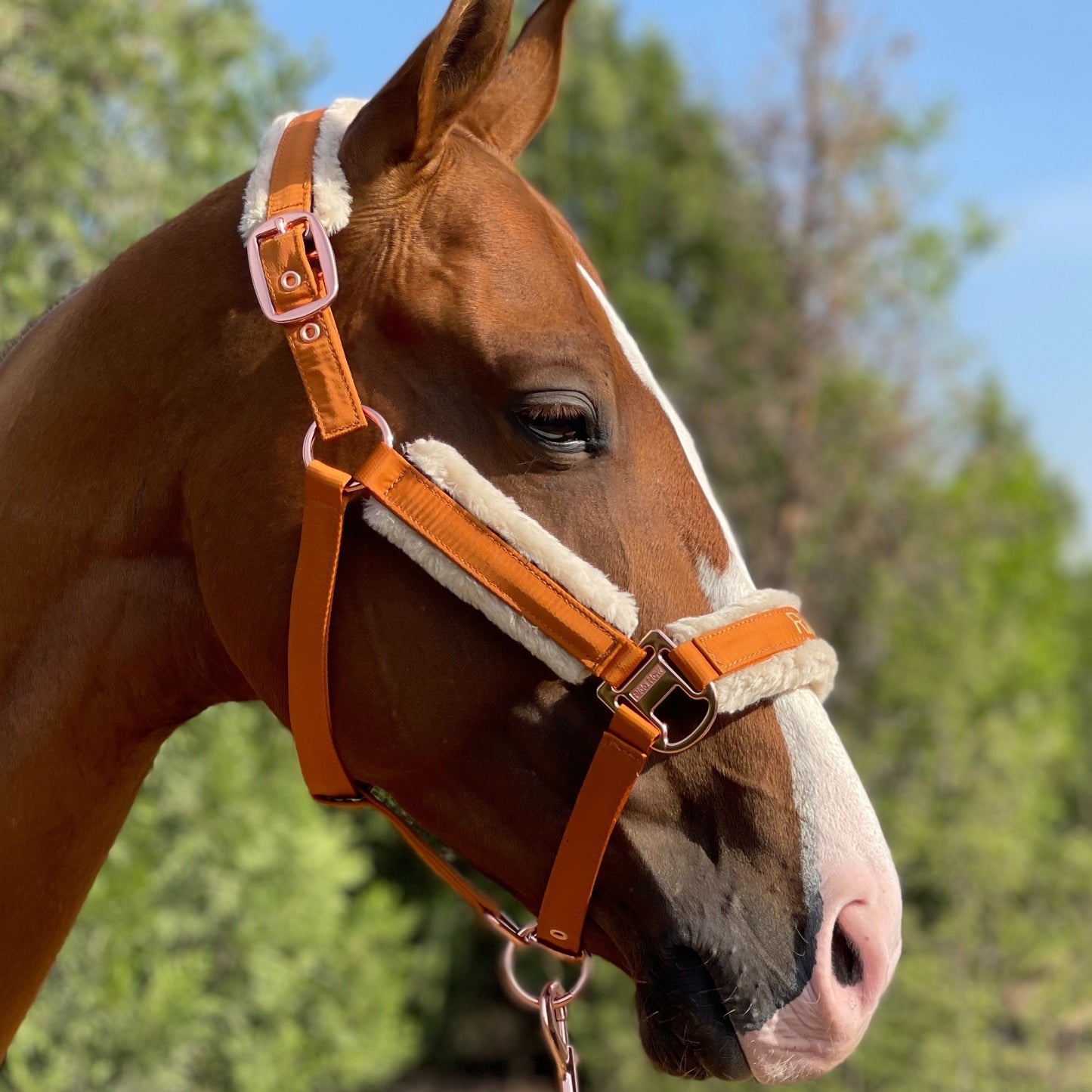Luxurious Detachable Faux Fur Horse Halter with Glossy Buckle