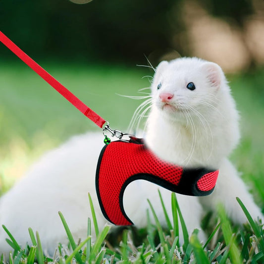 Small Animal Harness and Leash Soft Mesh Pet Harness with Safe Bell No Pull Comfort Padded Vest for Small Pets Red