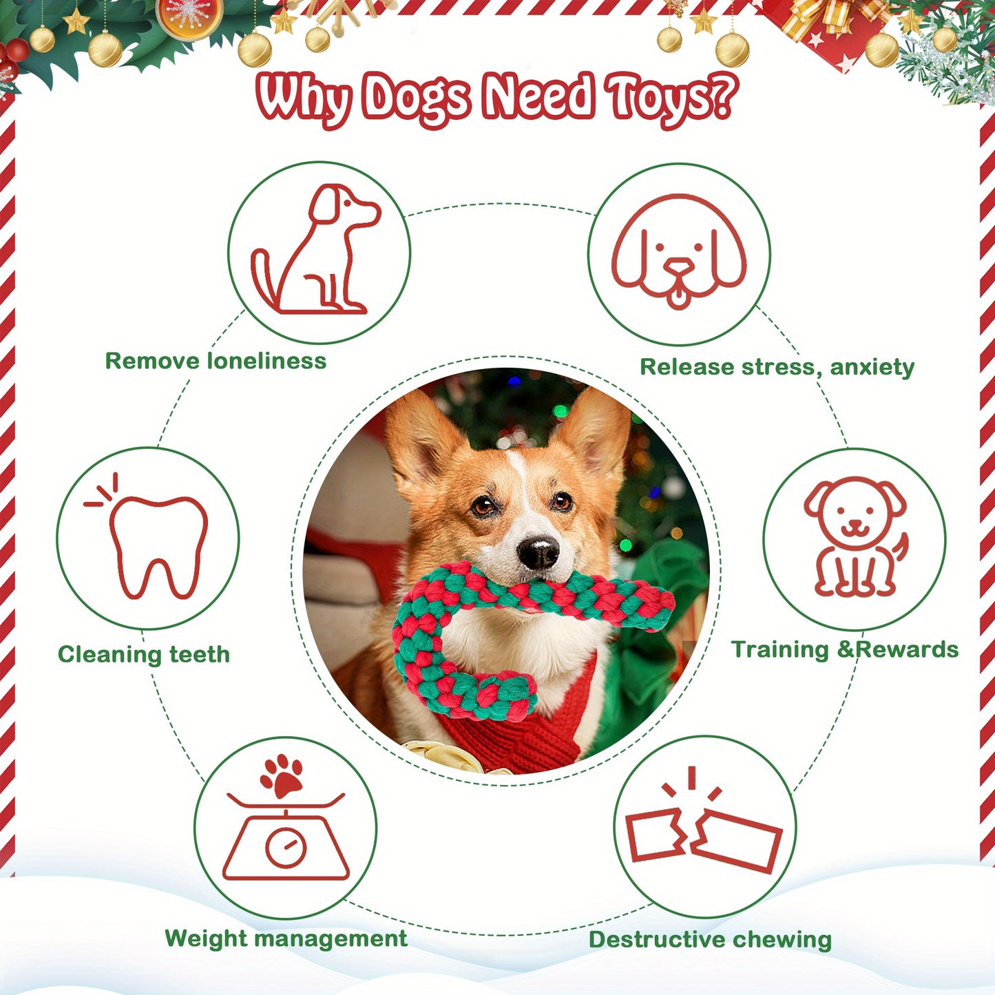 10-Pack Durable Dog Chew Toys Set for Aggressive Chewers