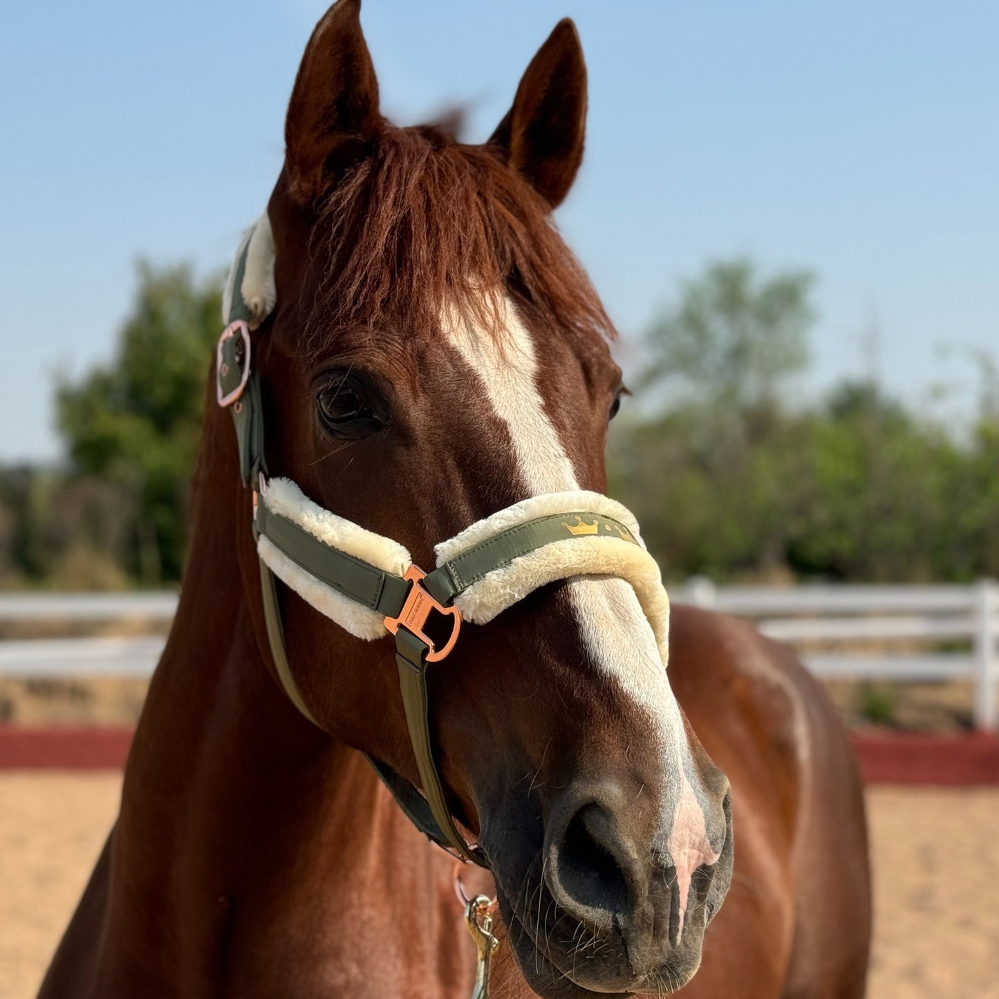 Luxurious Detachable Faux Fur Horse Halter with Glossy Buckle