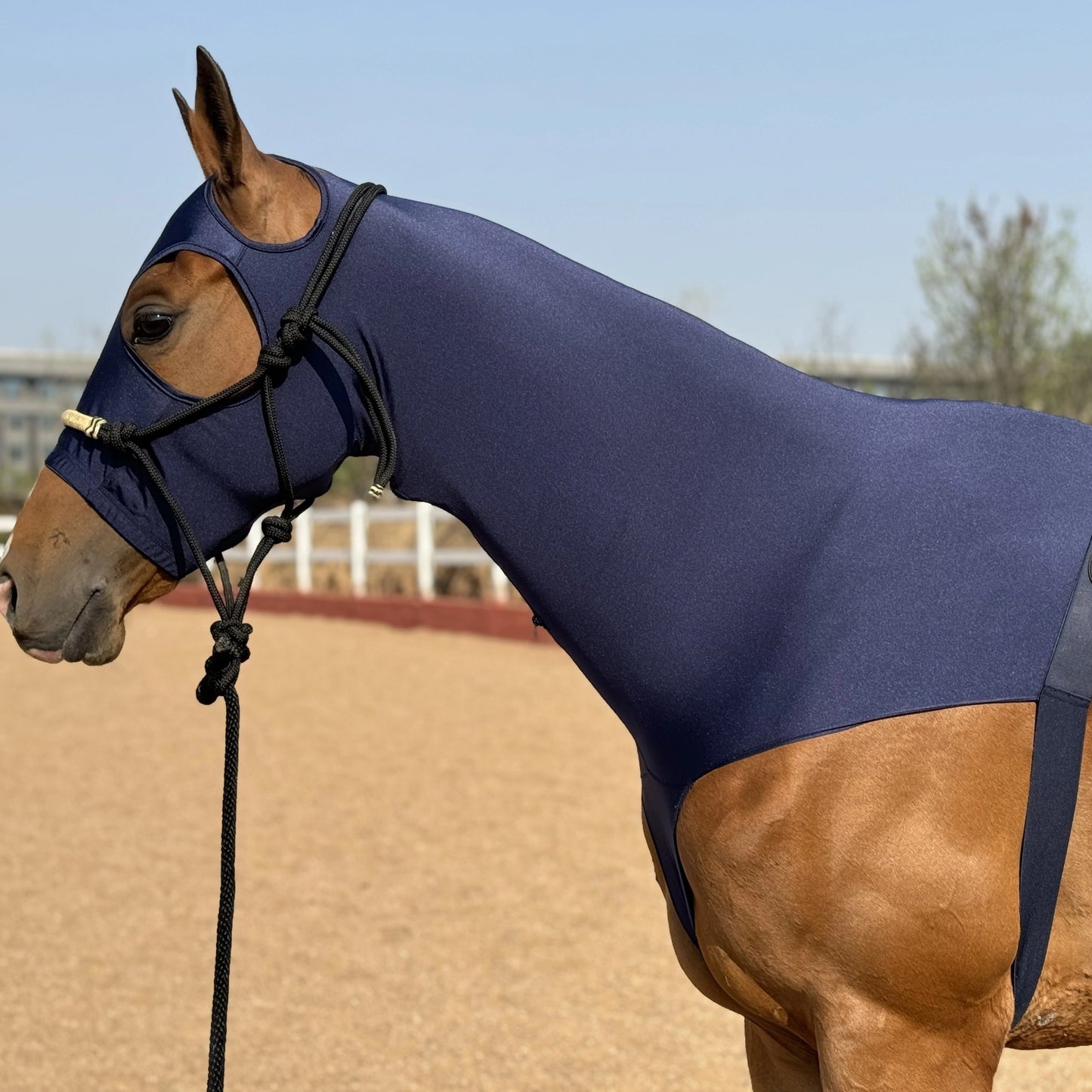 Premium Nylon Lycra Horse Head Cover Anti Wear Stretch Fit for Large Breeds Essential Equestrian Gear