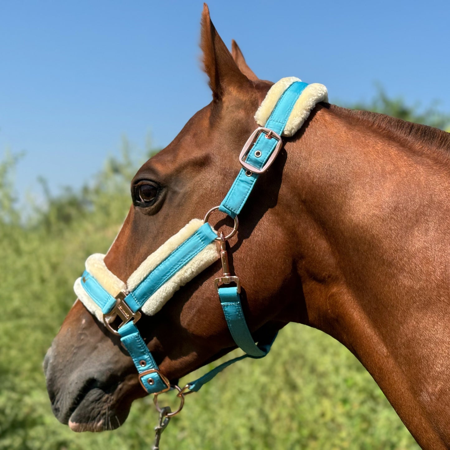 Luxurious Detachable Faux Fur Horse Halter with Glossy Buckle