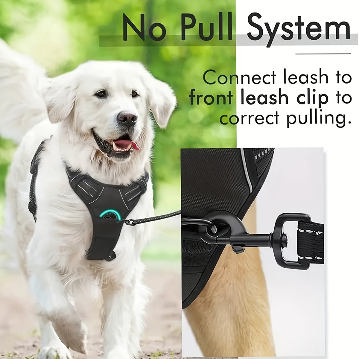 No Pull Dog Harness Set
