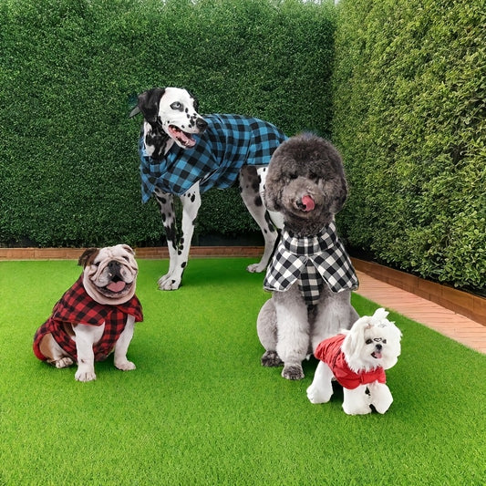 Reversible Dog Winter Coat - Waterproof Insulated Jacket