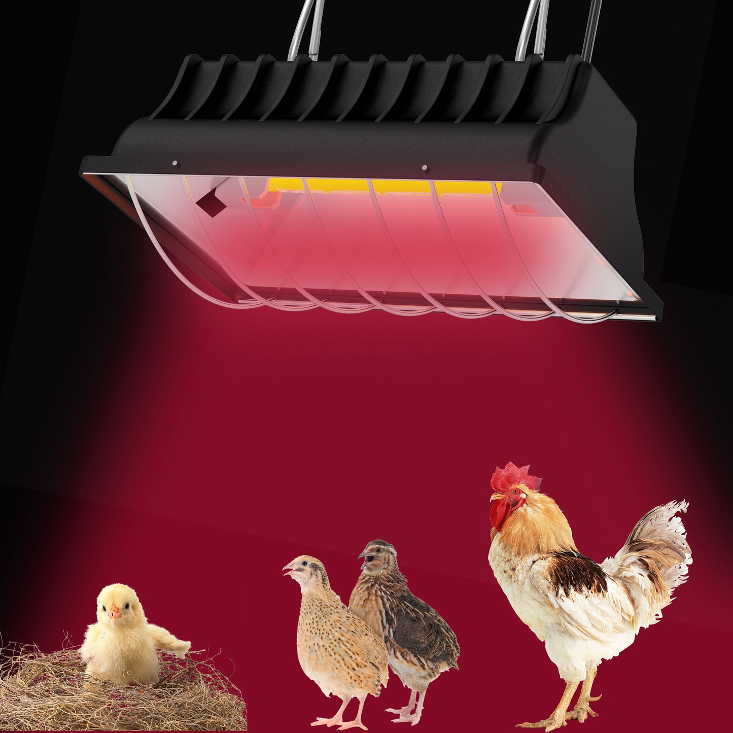 Adjustable Chicken Brooder Lamp 175250W Height and Temperature Control for Poultry and Livestock Durable Aluminum Alloy with AntiFall Design