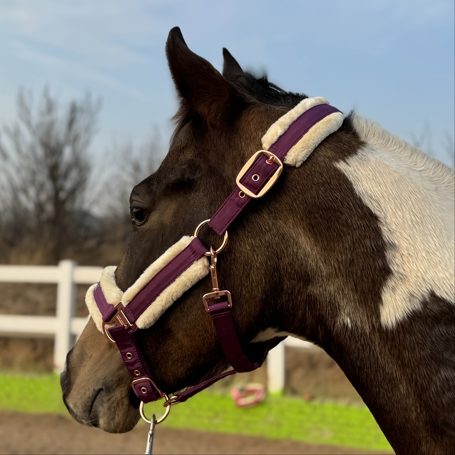 Luxurious Detachable Faux Fur Horse Halter with Glossy Buckle