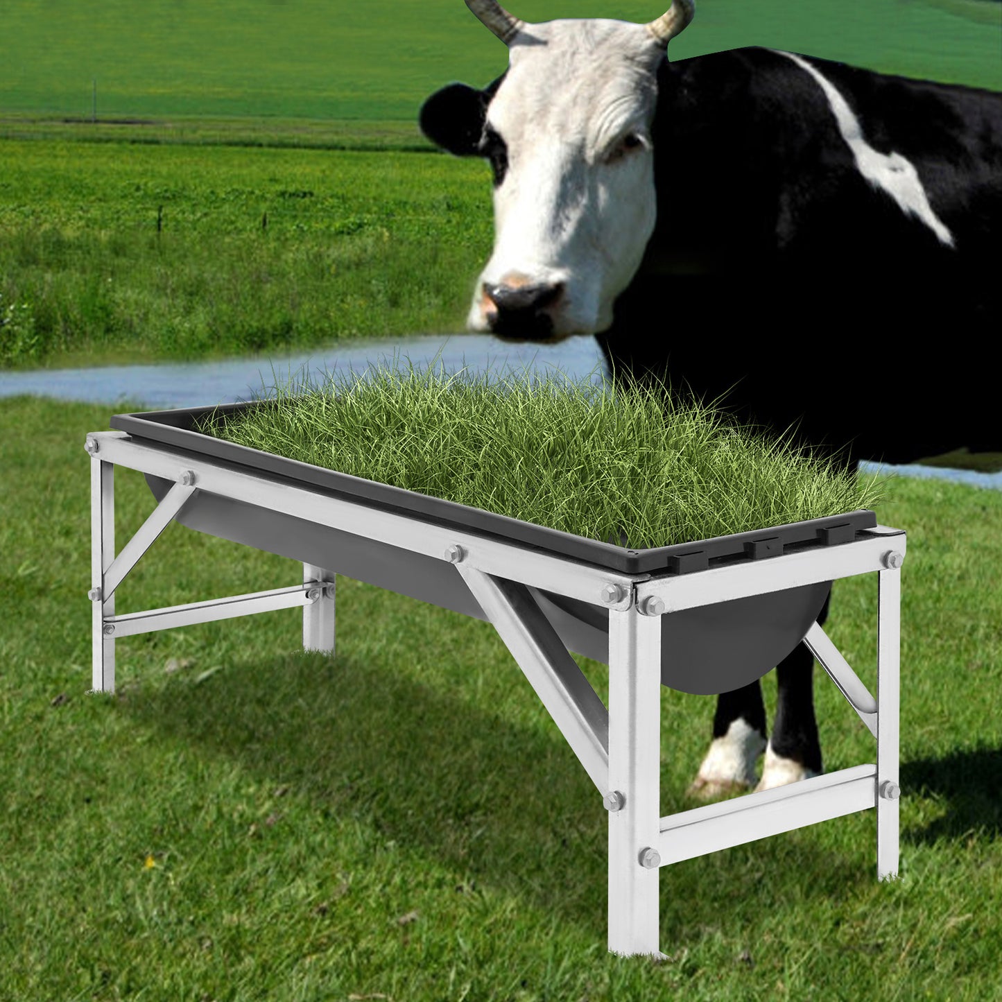 Livestock Feed Trough