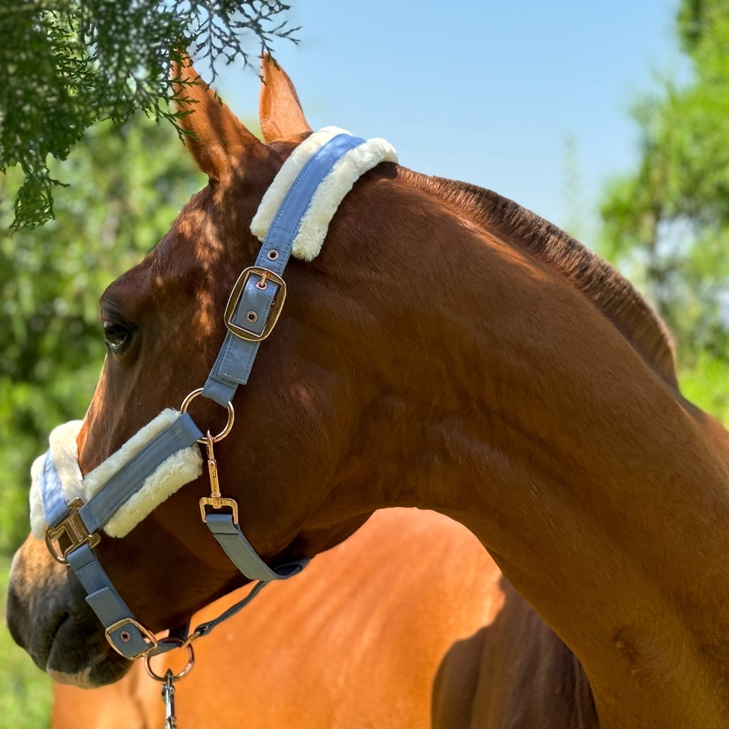 Luxurious Detachable Faux Fur Horse Halter with Glossy Buckle