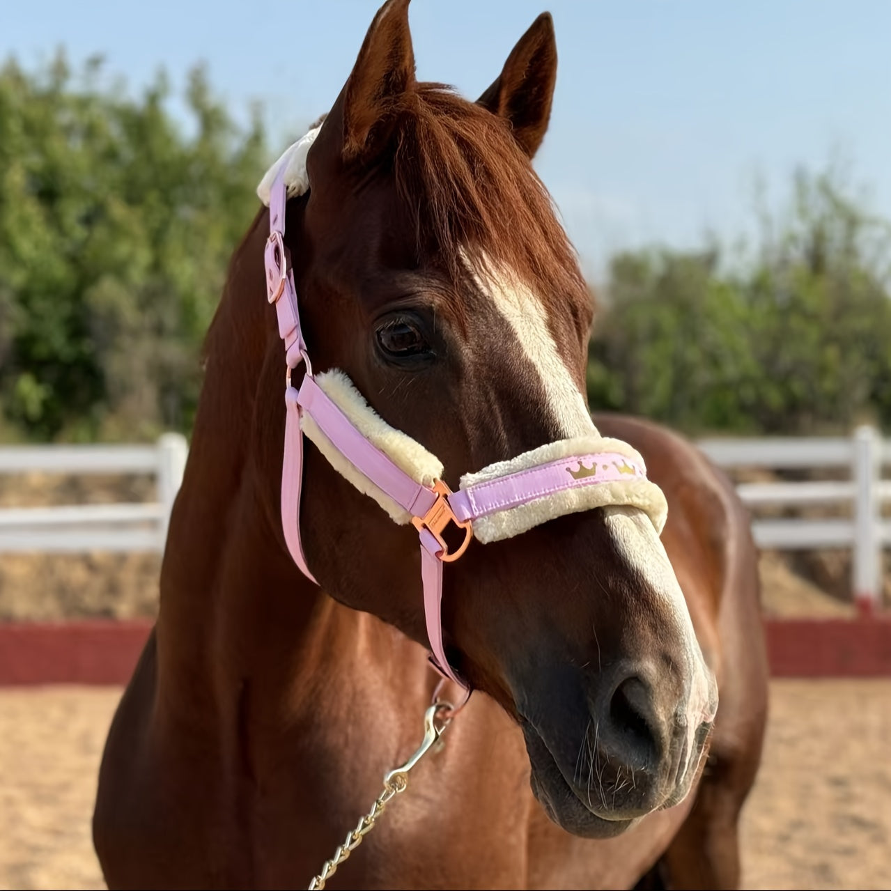 Luxurious Detachable Faux Fur Horse Halter with Glossy Buckle