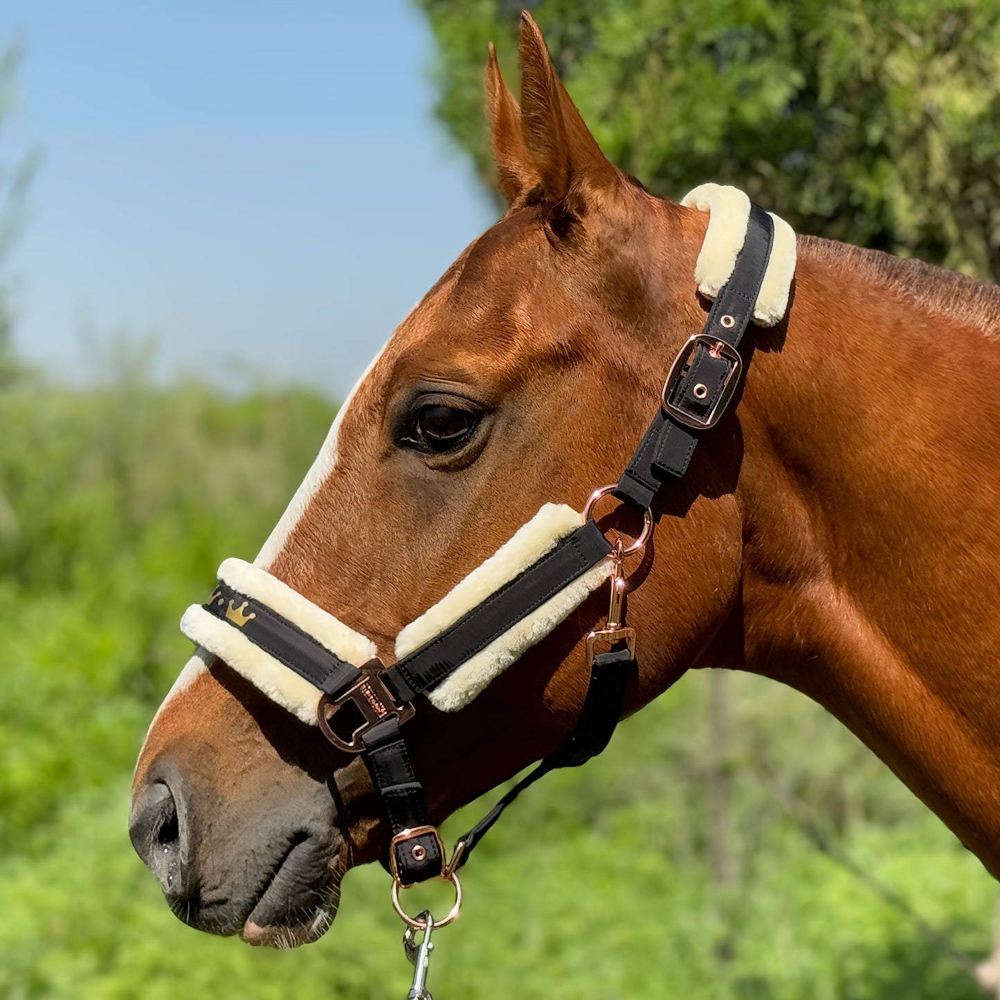 Luxurious Detachable Faux Fur Horse Halter with Glossy Buckle
